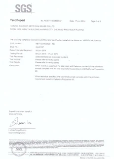 RoHS Certification of Artificial Grass RoHS Certification of Artificial Grass