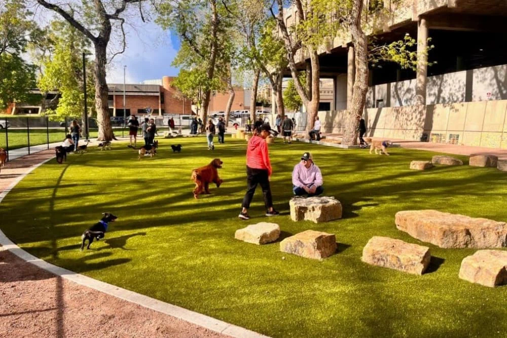 Colorado Dog Park Installed in 2024 Colorado Dog Park Installed in 2024